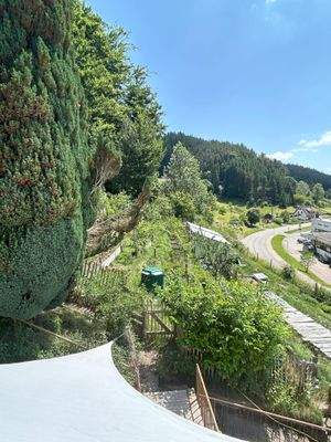 Blick von oben auf den Garten 