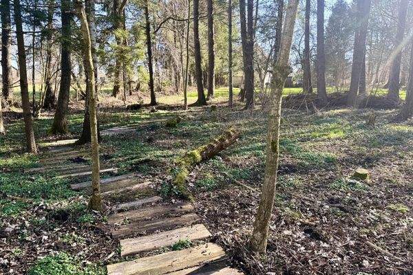 ... ein eigener kleiner Wald....