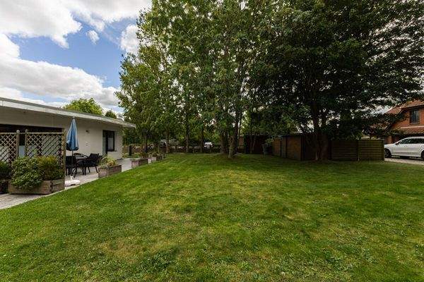 Blick in den Gemeinschaftsgarten