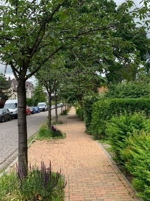 Roonstr.