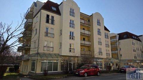 Zittau Wohnungen, Zittau Wohnung kaufen