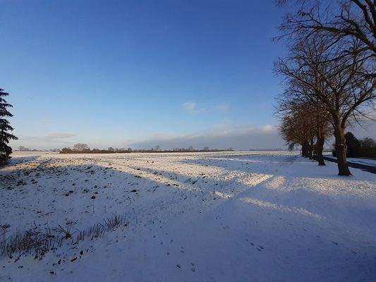 Neben dem Grundstück.jpg