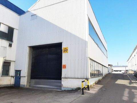 München Halle, München Hallenfläche