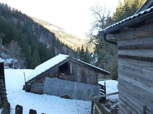 Hof-Sankt Pankraz-maso-val d'ultimo-Ultental-Wald-Wiese