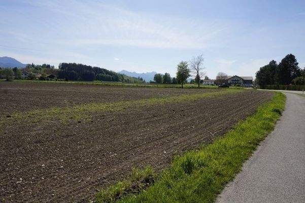 Grundstück Blick nach Westen