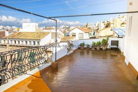 Palma Wohnungen, Palma Wohnung mieten