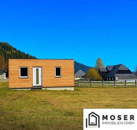 Laßnitz-Murau Häuser, Laßnitz-Murau Haus kaufen