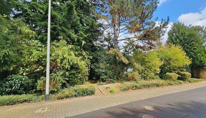 Vorderansicht und Zugang von der Straße