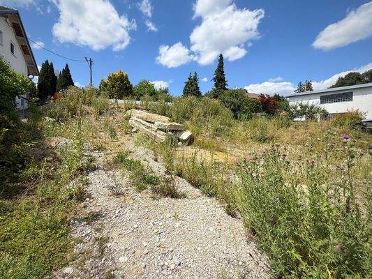 Straßenblick Franziskusweg 4