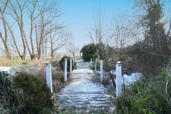 hinterer Teil Grundstück