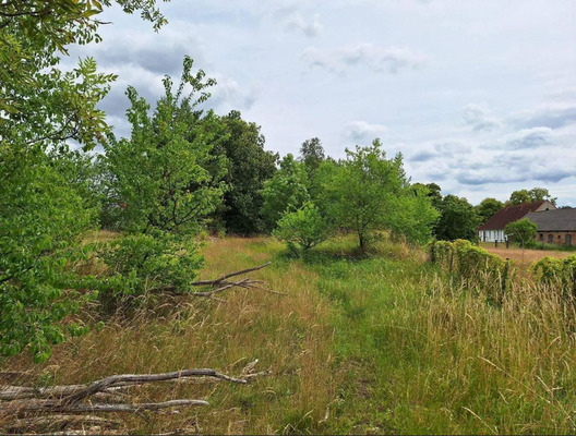 Ansicht Gartenbrache.png