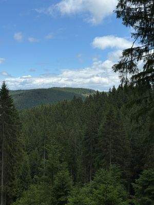 2025-07-22 13.49.25.jpg