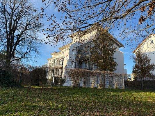 2025-11-07 15.27.21.JPG