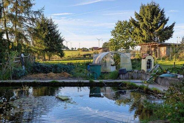 biologische Teichanlage