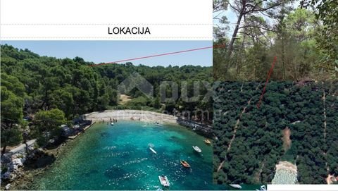 Mali Losinj center Bauernhöfe, Landwirtschaft, Mali Losinj center Forstwirtschaft