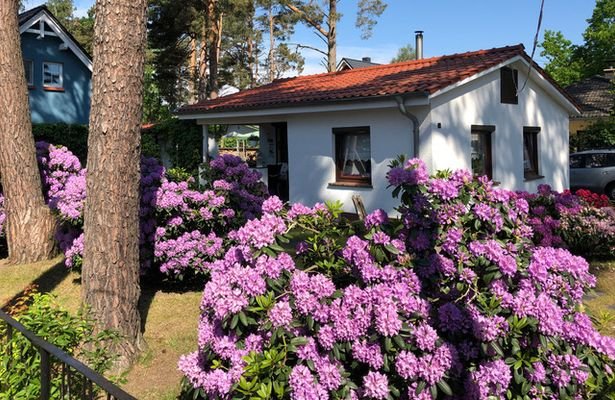 Impressionen