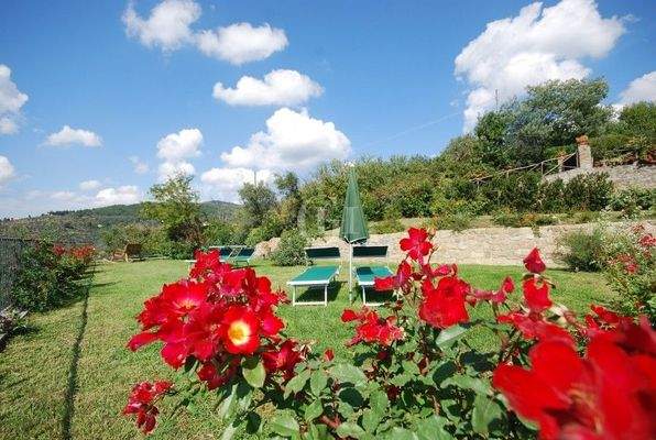Garten mit schönen Blumen