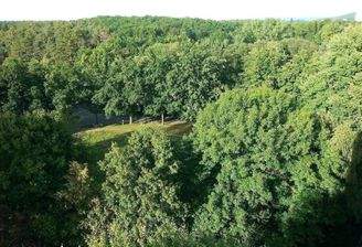 unverbaubare Aussicht zum Erlanger Burgberg.jpg