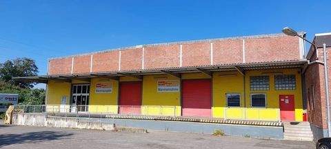 Itzehoe Halle, Itzehoe Hallenfläche