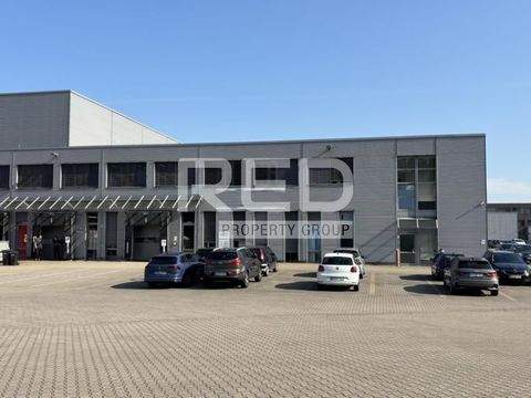 Gelsenkirchen Halle, Gelsenkirchen Hallenfläche