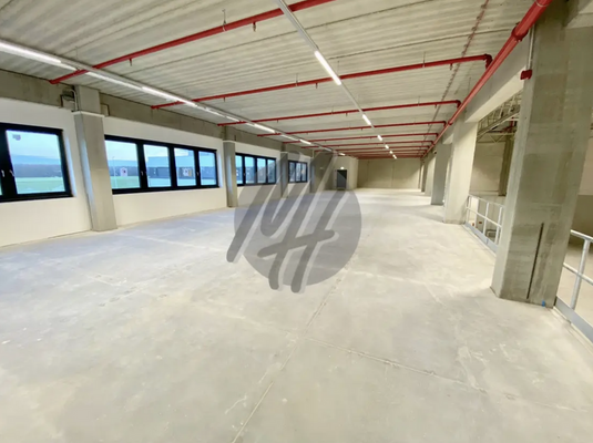 INFOS UNTER: 06171-586000