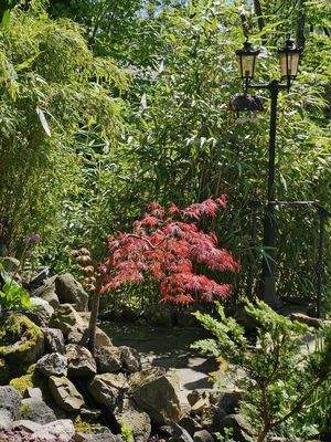 Blick auf Bambusecke