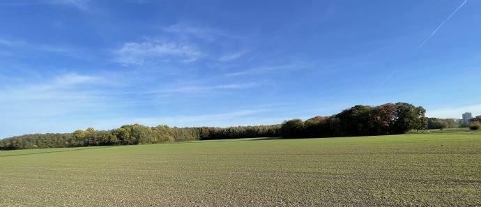 Seltene Gelegenheit! Grundstück direkt am Weißer Rheinbogen