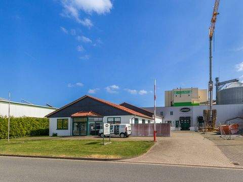 Büren Halle, Büren Hallenfläche