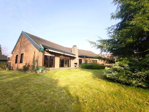 Haselünne Häuser, Haselünne Haus mieten 