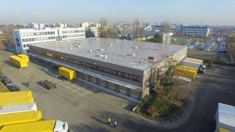 Ginsheim-Gustavsburg Halle, Ginsheim-Gustavsburg Hallenfläche