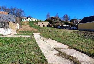 IMG_20250318_104408-