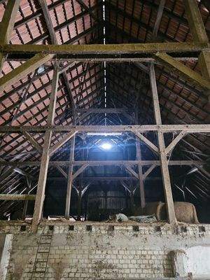 Kathedralen Dach Turm