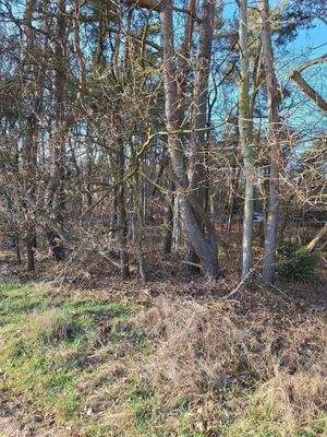 Blick auf das Wohngrundstück