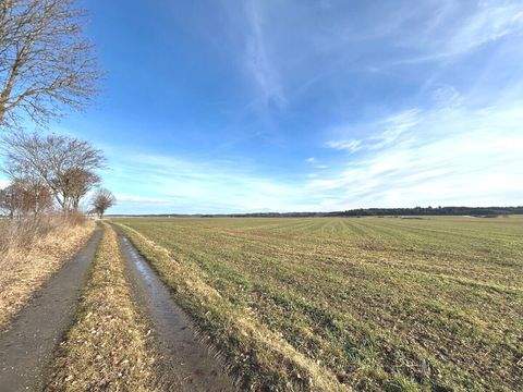 Kettershausen Bauernhöfe, Landwirtschaft, Kettershausen Forstwirtschaft