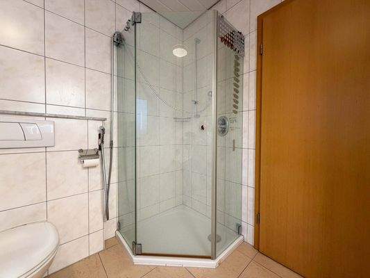 EG: Im Badezimmer gibt es die moderne Duschkabine