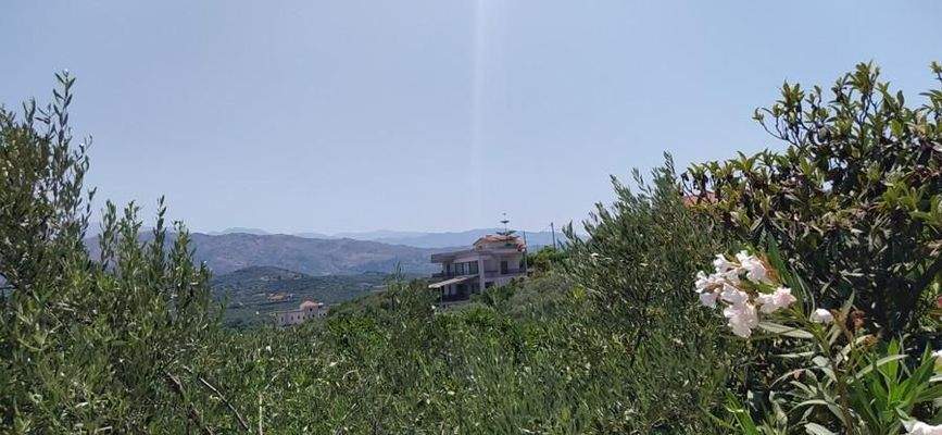 Kreta, Daratsos: Grundstück in ruhiger Lage neben der Stadt Chania zu verkaufen