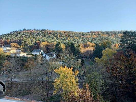 Ausblick aus dem Dachfenster