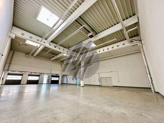 INFOS UNTER: 06171-586000