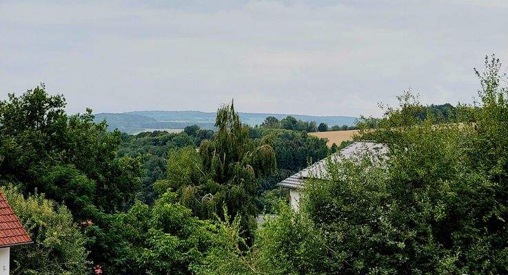 EG, Ausblick von Wohn-/Esszimmer nach rechts