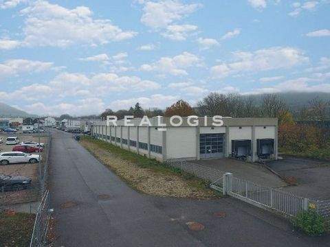 Eningen unter Achalm Halle, Eningen unter Achalm Hallenfläche