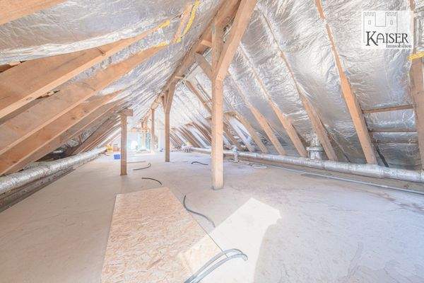 6 unausgebautes DG (1)