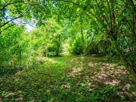 Grundstücksdetail 2