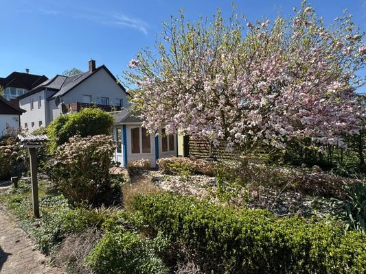 Garten vom Hinterhaus