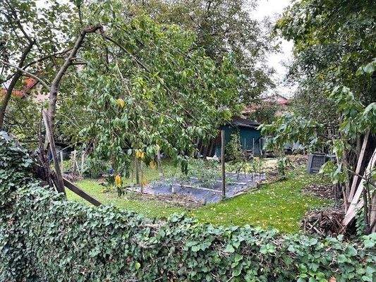 Grundstückseinblick