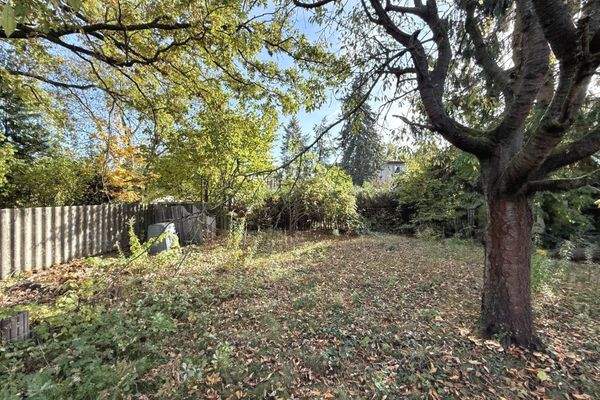 Blick in Richtung rechtes Nachbargrundstück