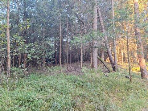 Söchtenau Bauernhöfe, Landwirtschaft, Söchtenau Forstwirtschaft