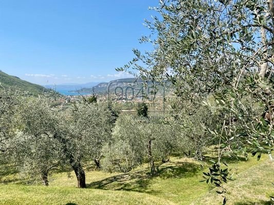 Traumvilla mit Seeblick und Olivenhain in Costermano sul Garda - Gardasee