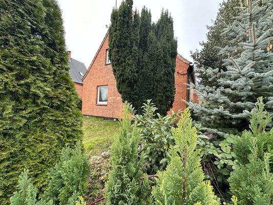 Einfamilienhaus mit weitläufigem Grundstück