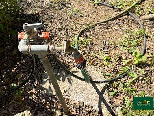 Wasser ist überall vorhanden