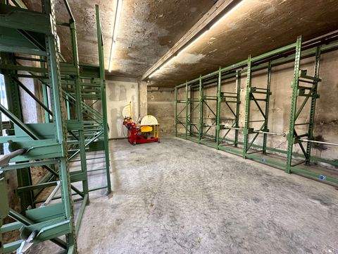 Dresden Halle, Dresden Hallenfläche